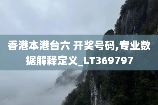 香港本港台六 开奖号码,专业数据解释定义_LT369797