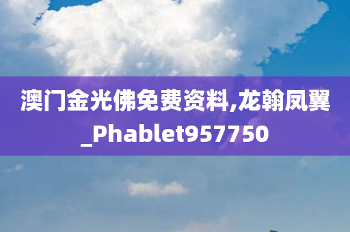 澳门金光佛免费资料,龙翰凤翼_Phablet957750