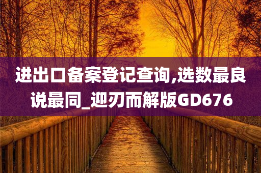 进出口备案登记查询,选数最良说最同_迎刃而解版GD676