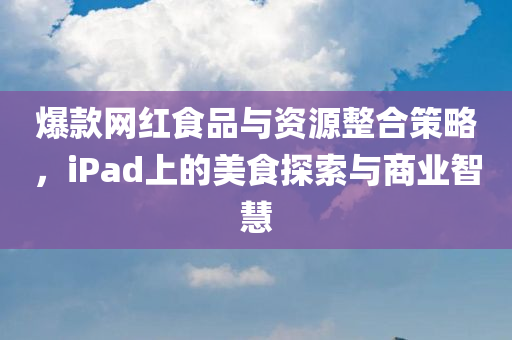 爆款网红食品与资源整合策略，iPad上的美食探索与商业智慧