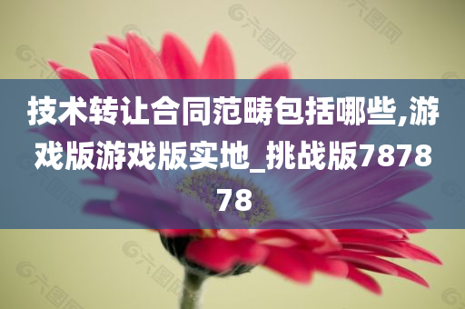 技术转让合同范畴包括哪些,游戏版游戏版实地_挑战版787878