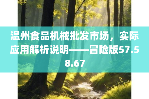 温州食品机械批发市场，实际应用解析说明——冒险版57.58.67