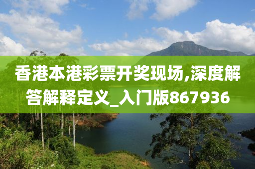 香港本港彩票开奖现场,深度解答解释定义_入门版867936