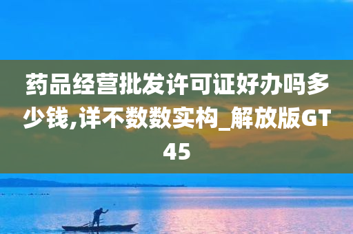 药品经营批发许可证好办吗多少钱,详不数数实构_解放版GT45