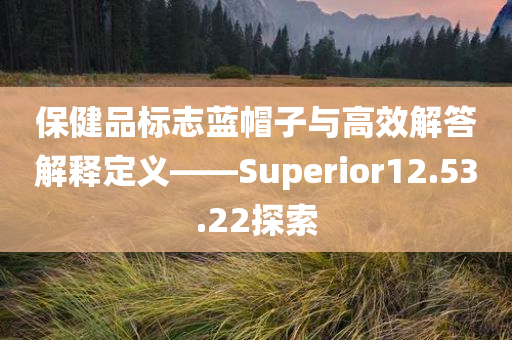 保健品标志蓝帽子与高效解答解释定义——Superior12.53.22探索