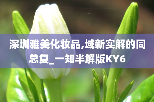 深圳雅美化妆品,域新实解的同总复_一知半解版KY6