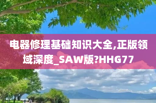 电器修理基础知识大全,正版领域深度_SAW版?HHG77