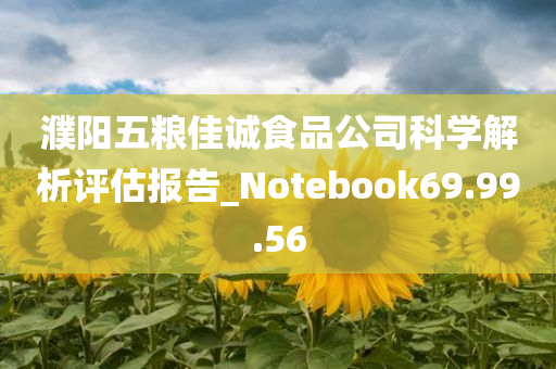 濮阳五粮佳诚食品公司科学解析评估报告_Notebook69.99.56