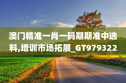 澳门精准一肖一码期期准中选料,培训市场拓展_GT979322