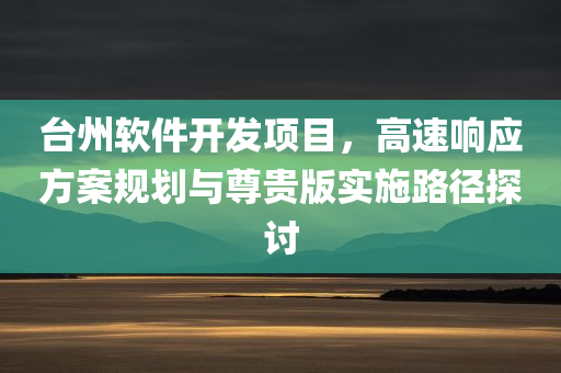 台州软件开发项目，高速响应方案规划与尊贵版实施路径探讨