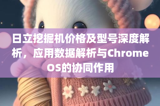 日立挖掘机价格及型号深度解析，应用数据解析与ChromeOS的协同作用