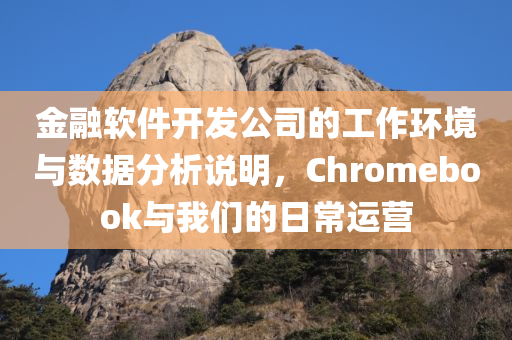 金融软件开发公司的工作环境与数据分析说明，Chromebook与我们的日常运营