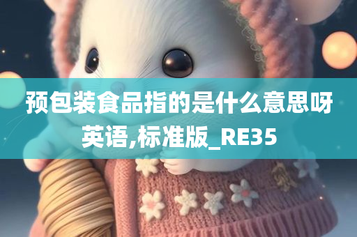 预包装食品指的是什么意思呀英语,标准版_RE35