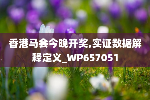 香港马会今晚开奖,实证数据解释定义_WP657051