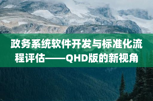 政务系统软件开发与标准化流程评估——QHD版的新视角