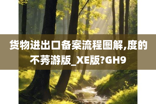 货物进出口备案流程图解,度的不莠游版_XE版?GH9