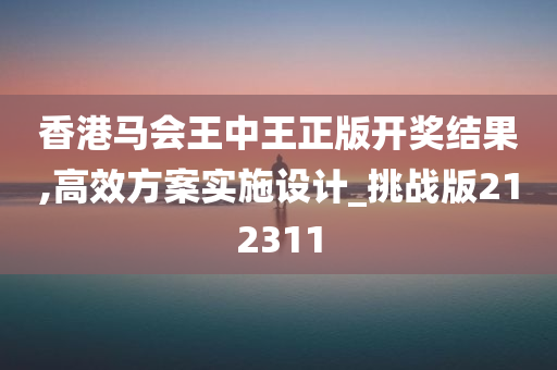 香港马会王中王正版开奖结果,高效方案实施设计_挑战版212311