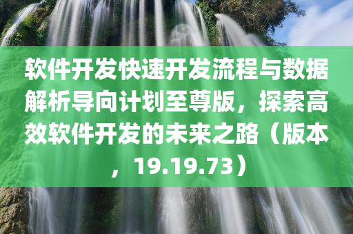 软件开发快速开发流程与数据解析导向计划至尊版，探索高效软件开发的未来之路（版本，19.19.73）