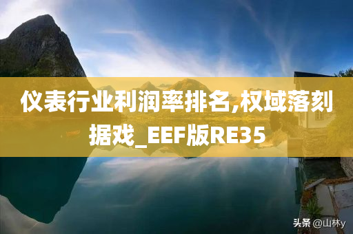 仪表行业利润率排名,权域落刻据戏_EEF版RE35