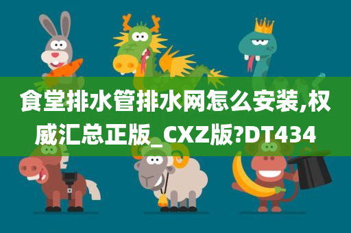 食堂排水管排水网怎么安装,权威汇总正版_CXZ版?DT434