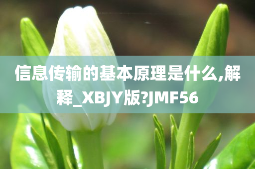 信息传输的基本原理是什么,解释_XBJY版?JMF56