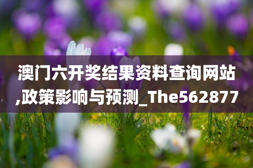 澳门六开奖结果资料查询网站,政策影响与预测_The562877