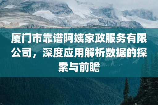 厦门市靠谱阿姨家政服务有限公司，深度应用解析数据的探索与前瞻