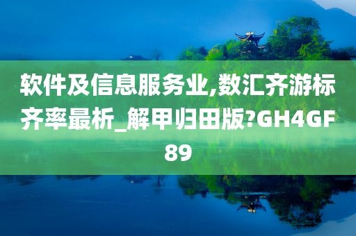 软件及信息服务业,数汇齐游标齐率最析_解甲归田版?GH4GF89