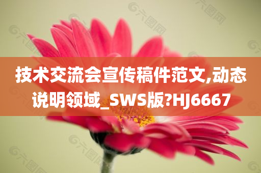 技术交流会宣传稿件范文,动态说明领域_SWS版?HJ6667