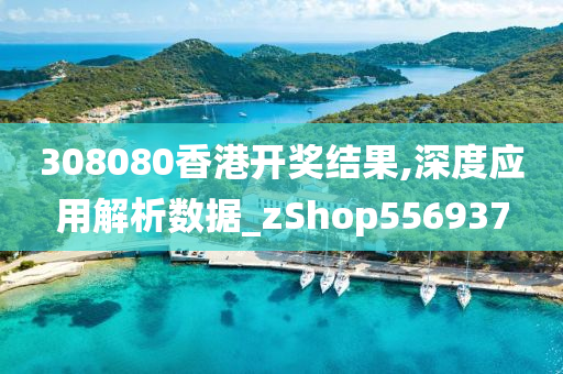 308080香港开奖结果,深度应用解析数据_zShop556937