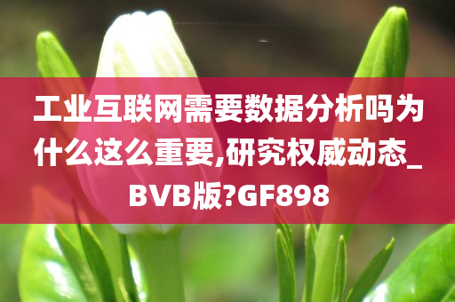 工业互联网需要数据分析吗为什么这么重要,研究权威动态_BVB版?GF898