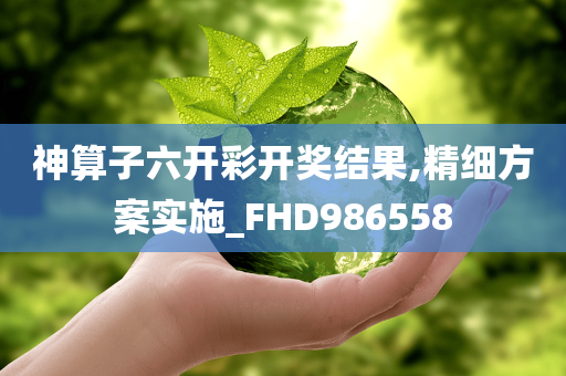 神算子六开彩开奖结果,精细方案实施_FHD986558