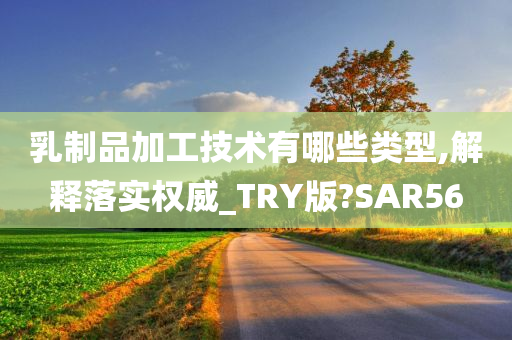 乳制品加工技术有哪些类型,解释落实权威_TRY版?SAR56