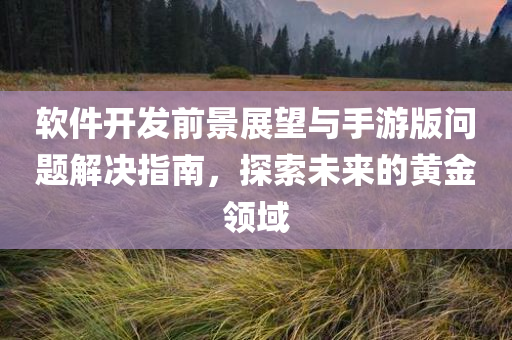 软件开发前景展望与手游版问题解决指南，探索未来的黄金领域