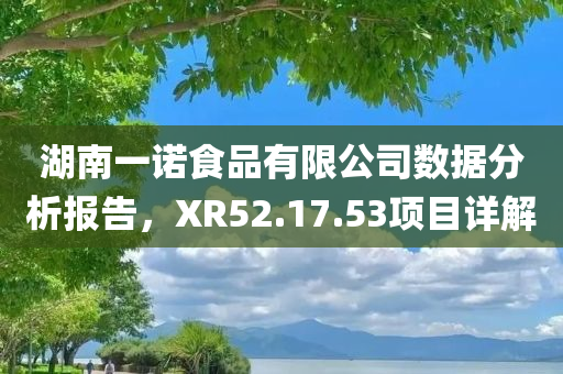 湖南一诺食品有限公司数据分析报告，XR52.17.53项目详解