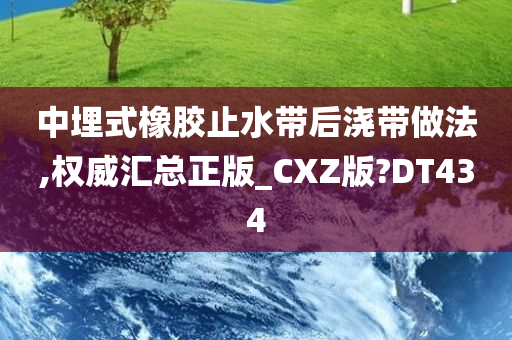 中埋式橡胶止水带后浇带做法,权威汇总正版_CXZ版?DT434