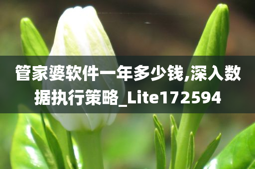 管家婆软件一年多少钱,深入数据执行策略_Lite172594