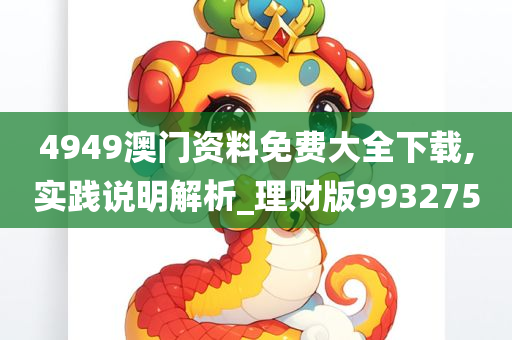 4949澳门资料免费大全下载,实践说明解析_理财版993275