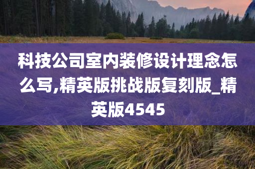 科技公司室内装修设计理念怎么写,精英版挑战版复刻版_精英版4545