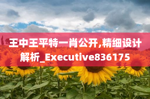 王中王平特一肖公开,精细设计解析_Executive836175