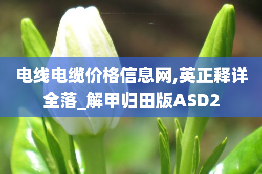 电线电缆价格信息网,英正释详全落_解甲归田版ASD2