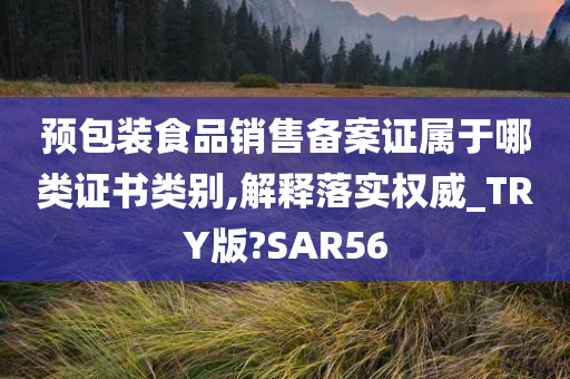 预包装食品销售备案证属于哪类证书类别,解释落实权威_TRY版?SAR56