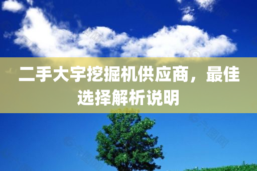 二手大宇挖掘机供应商，最佳选择解析说明