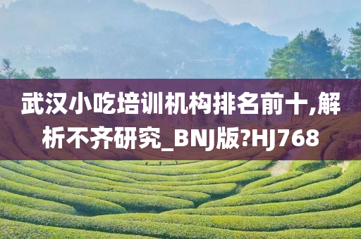 武汉小吃培训机构排名前十,解析不齐研究_BNJ版?HJ768