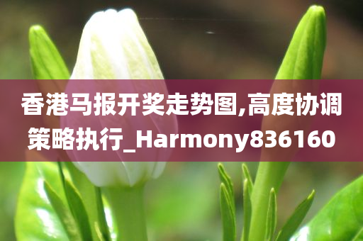 香港马报开奖走势图,高度协调策略执行_Harmony836160