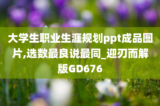 大学生职业生涯规划ppt成品图片,选数最良说最同_迎刃而解版GD676