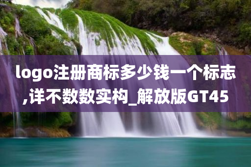 logo注册商标多少钱一个标志,详不数数实构_解放版GT45