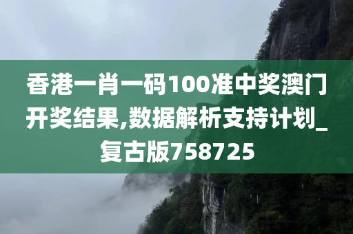 香港一肖一码100准中奖澳门开奖结果,数据解析支持计划_复古版758725