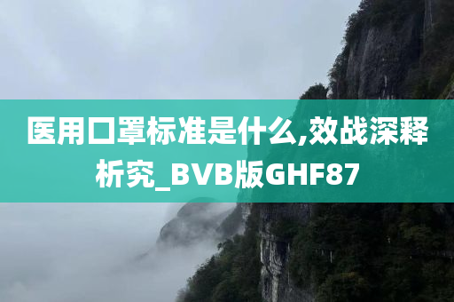 医用囗罩标准是什么,效战深释析究_BVB版GHF87