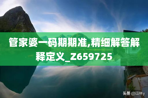 管家婆一码期期准,精细解答解释定义_Z659725